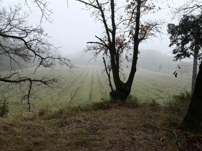 Mourre_Seve_ 2026_06.jpg