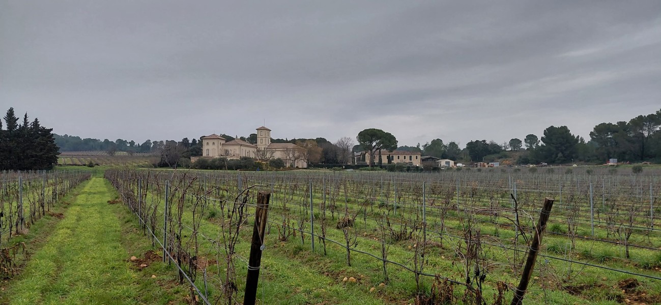 Mourre_Seve_ 2026_10.jpg