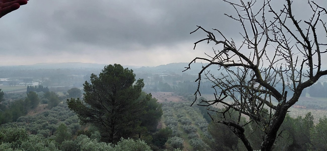 Mourre_Seve_ 2026_15.jpg