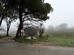 Mourre_Seve_ 2026_04.jpg Mourre_Seve_ 2026_04.jpg