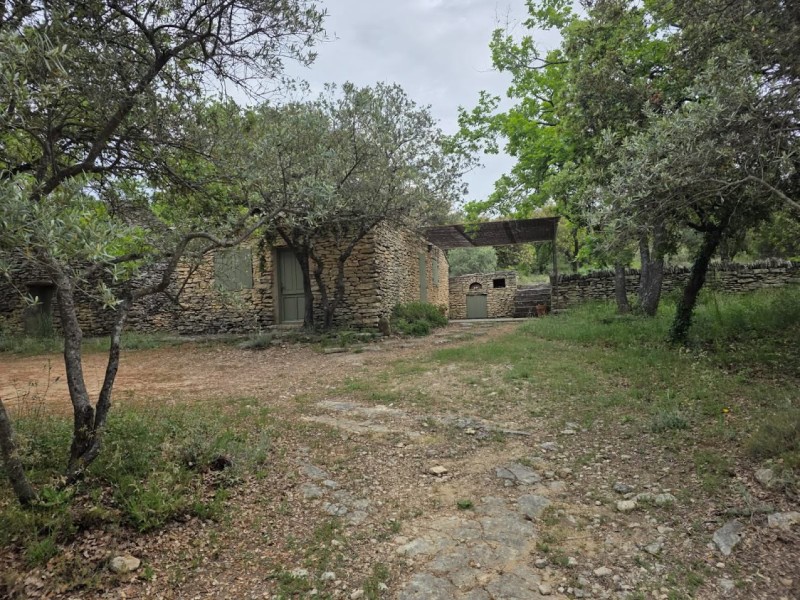 rando St Pantaleon 2026_14.jpg