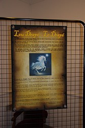bestiaire 2026_07.jpg bestiaire 2026_07.jpg
