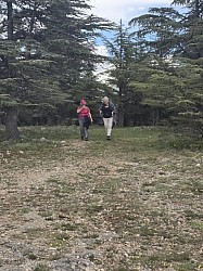 rando mur peste  2026 _03.jpg