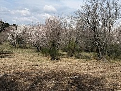 Rando_Lioux_2026_08.jpg Rando_Lioux_2026_08.jpg