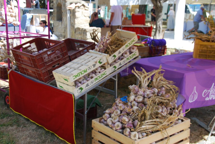 Terroir beda 2026_08.jpg