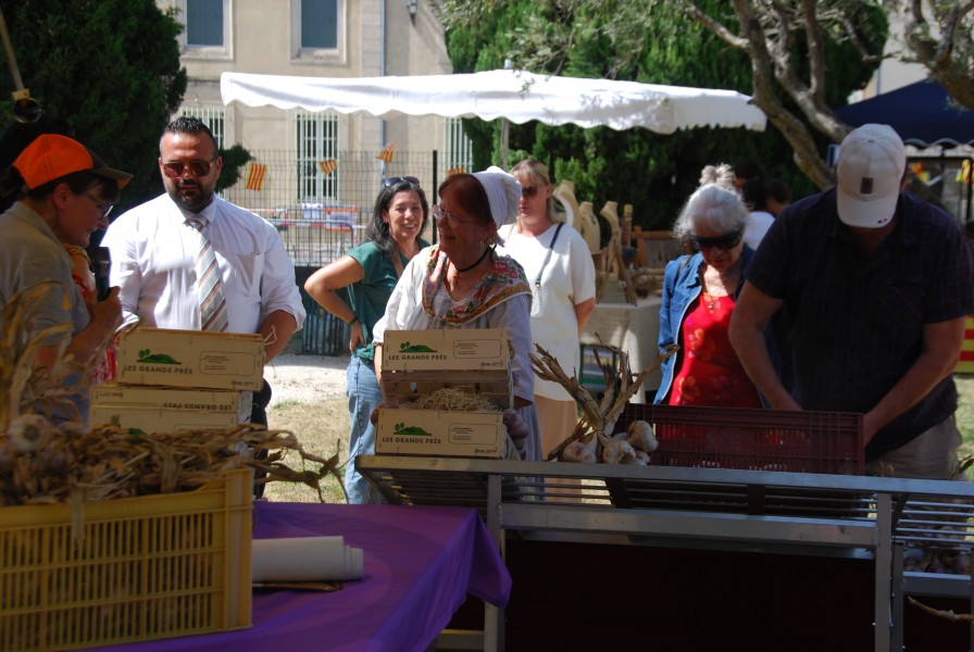 Terroir beda 2026_15.jpg