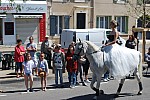 Foire_chevaux_bedarrides__2019_53.jpg